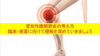 変形性膝関節症の考え方