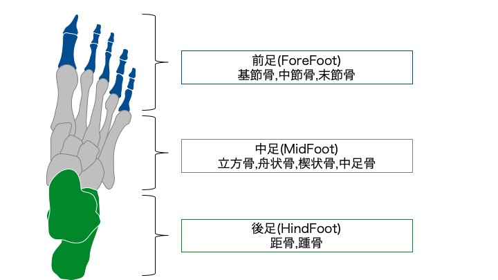 足の分類